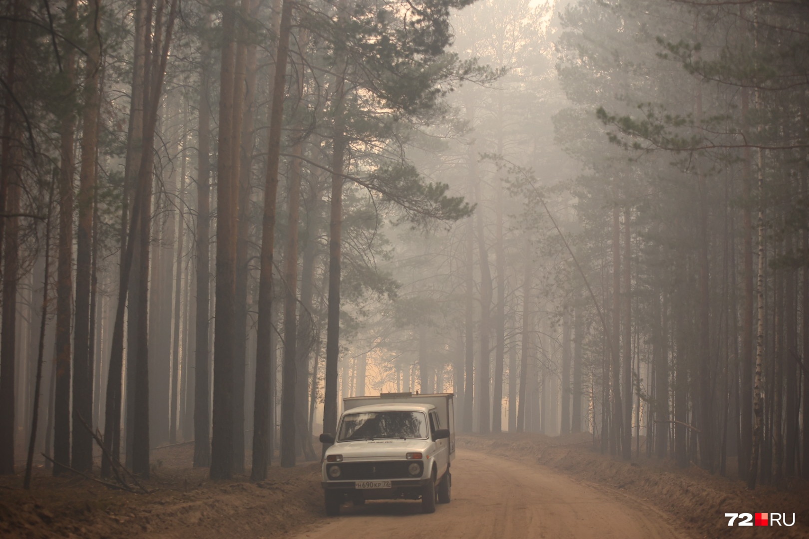 Весь лес в дыму. Специалисты не советуют оставаться долго в задымленном месте