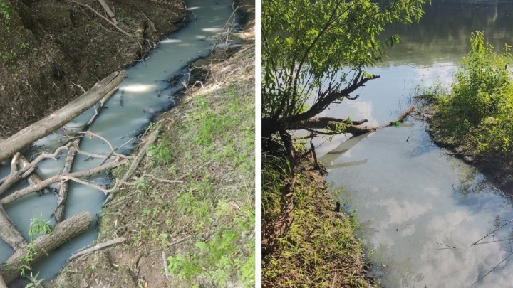 «Вонь стоит, рыба в озере подохла»: Роспотребнадзор проводит проверку загрязнения реки Уфы