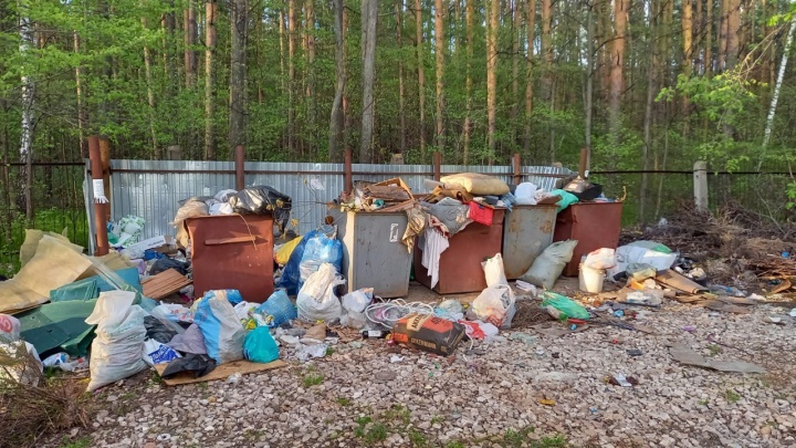 «Все терпят, и вы терпите»: татарстанские дачники не могут заставить мусорного регоператора работать