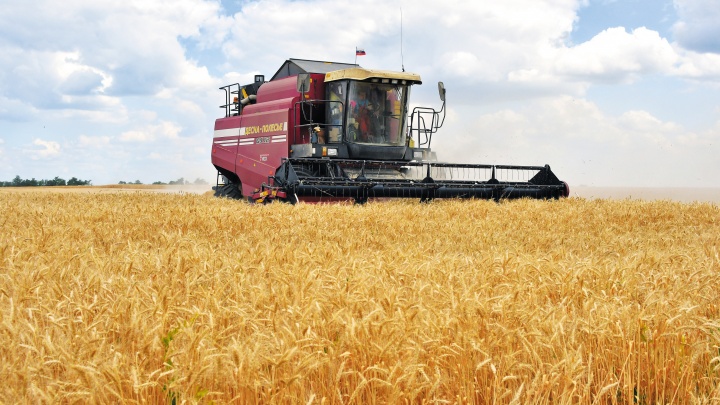 Аграрии Самарской области собрали 1,6 млн тонн зерна