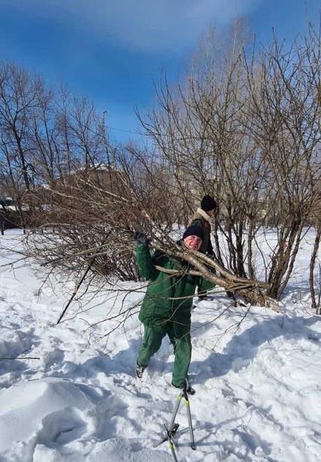 Все спиленные ветки превратят в мульчу, а когда растает снег, ей удобрят почву Все спиленные ветки превратят в мульчу, а когда растает снег, ей удобрят почву