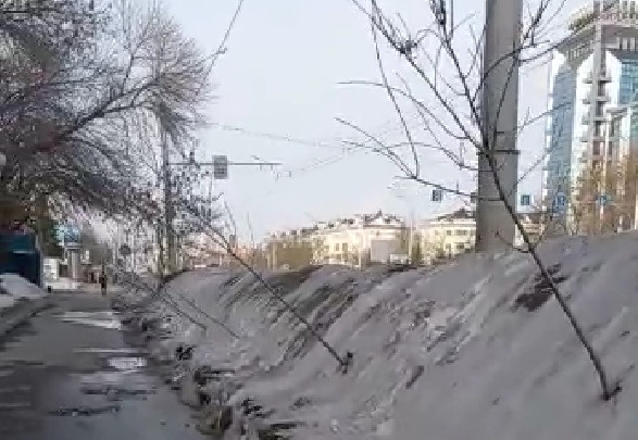 «Выживут не все»: жители Уфы рассказали о сломанных деревьях на главной городской улице