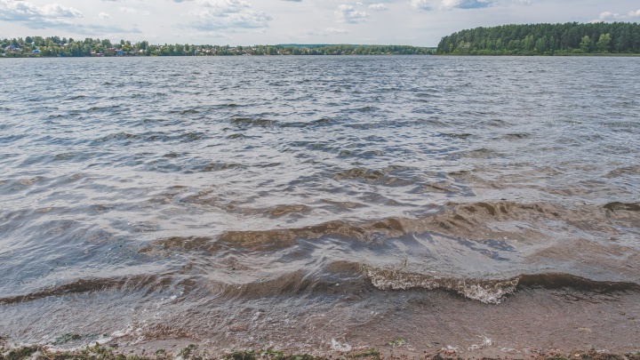«Не наводить панику, да?»: жители Очёра возмущены спуском воды в Очёрском пруду во время нереста