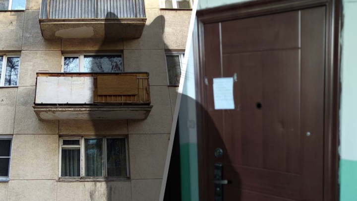 Челябинская полиция начала искать женщину, оставившую умирать кошку в запертой квартире