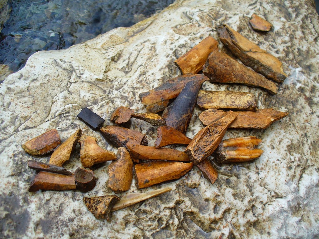 Учены нашли кремниевые орудия: ножи, наконечники копий, дротики, резцы, проколки, скребки, сверла и многое другое