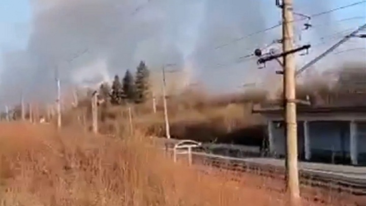 В Свердловской области горит лес. Пожар перешел в верховой