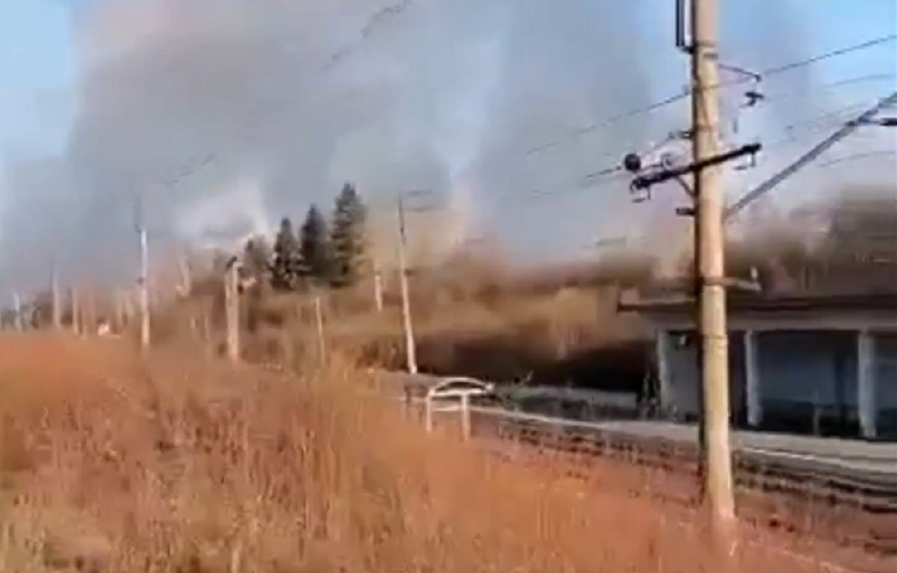 В Свердловской области горит лес. Пожар перешел в верховой