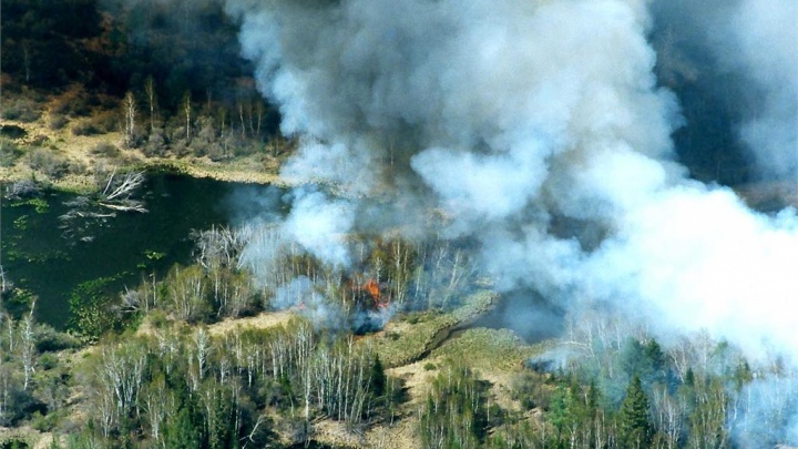 За выходные в Югре под огнем оказались 35 га леса