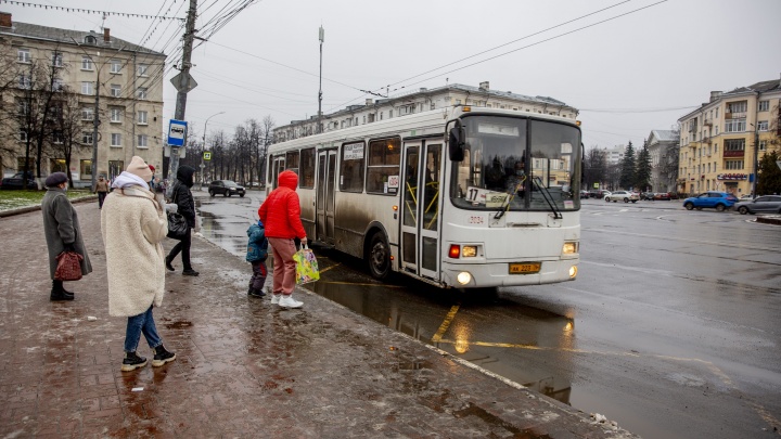Бывших маршрутчиков из Москвы запускают работать в Ярославле: сколько направлений им отдадут