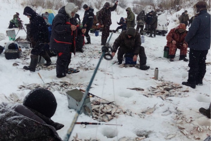 Массовая рыбалка поразила зауральцев в соцсетях Массовая рыбалка поразила зауральцев в соцсетях