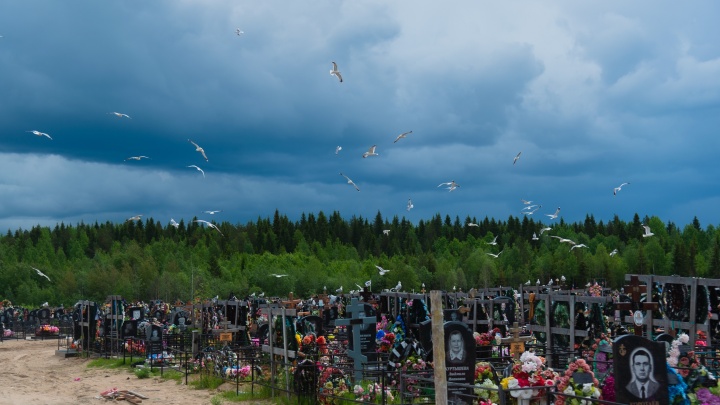 Нет мест: в Архангельске закрыли для захоронения одно из кладбищ