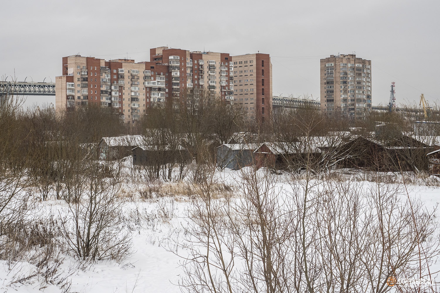 автор фото Михаил Огнев / «Фонтанка.ру»