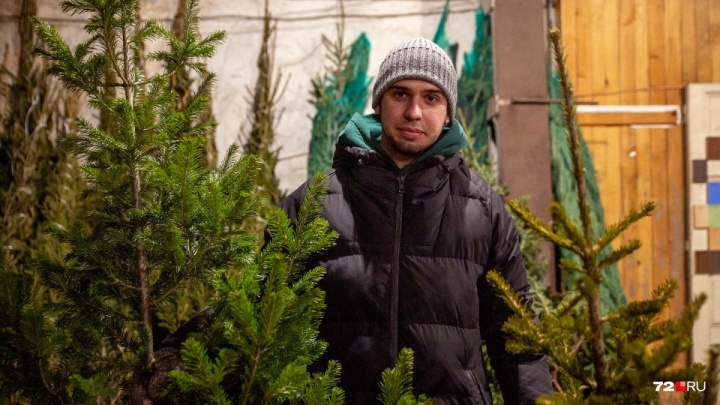 Как выбрать и надолго сохранить новогоднее дерево? 4 небанальных совета от тюменских продавцов