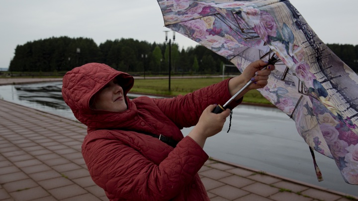 Будет сдувать: МЧС дало экстренное предупреждение о ветре в Ярославской области