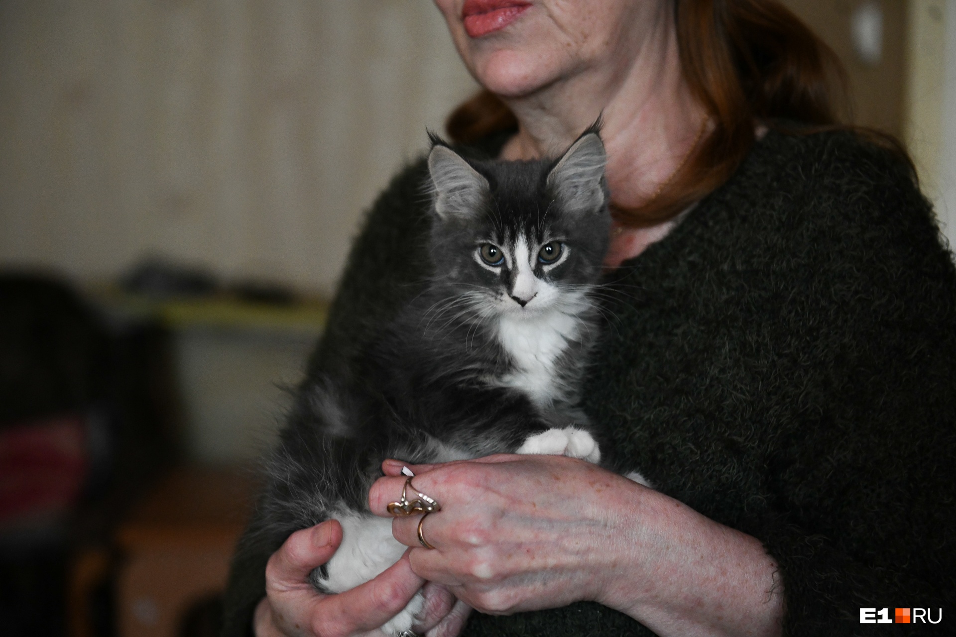Вместе с Любовью Владимировной дома живет милый котик