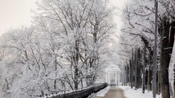 #Такой_Ярославль: над городом морозный туман. Фоторепортаж для тех, кому холодно гулять