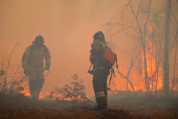 В Курганской области сейчас бушуют лесные пожары. Дым от них, вероятно, добрался до Прикамья