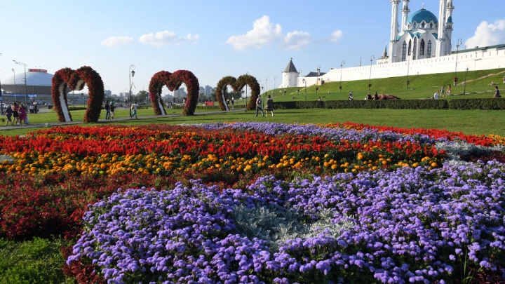 Сальвия, бегония и табак: какие цветы за 55 млн появятся на улицах Казани в этом году
