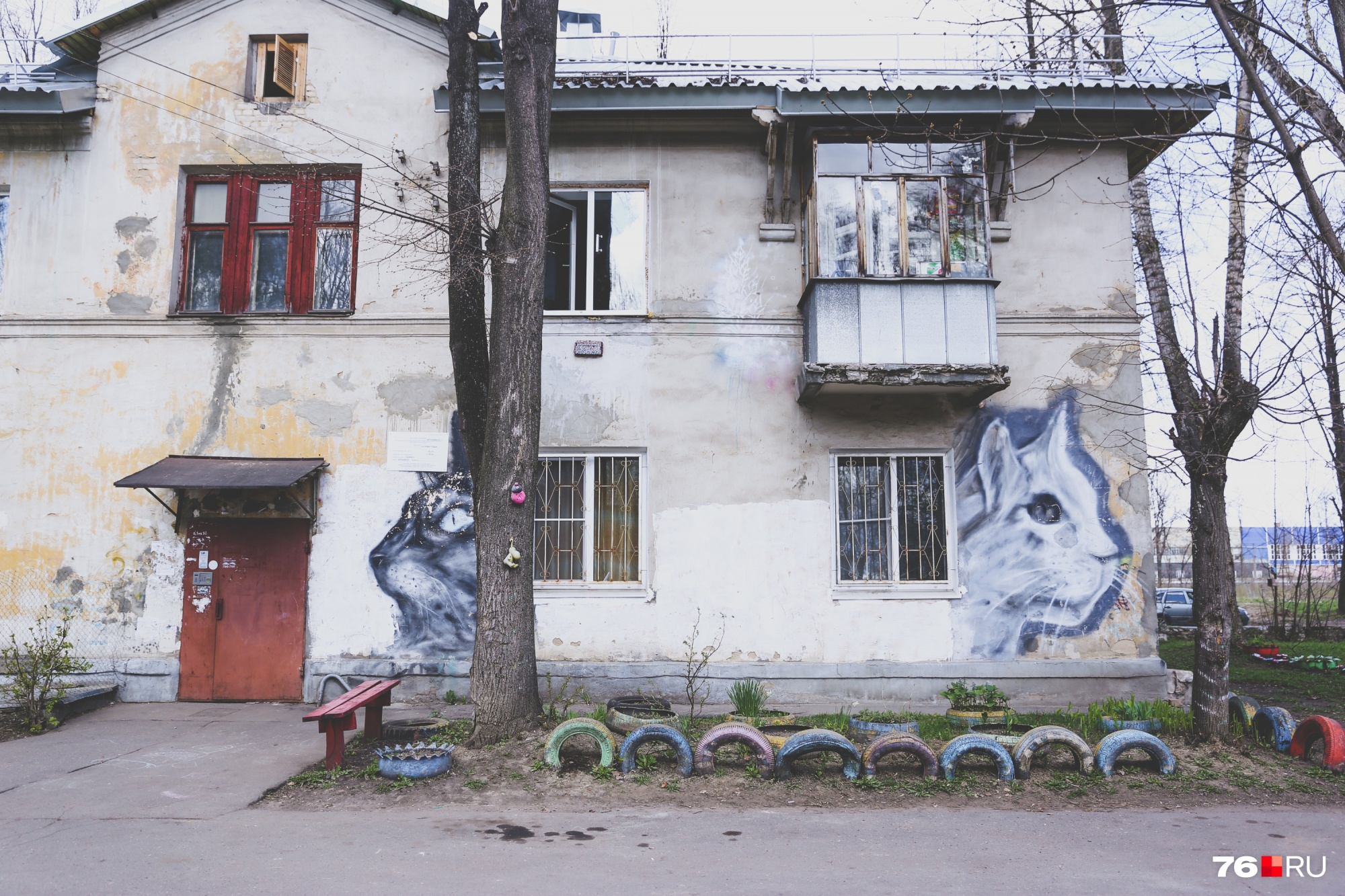 Какой фоторепортаж без котиков Какой фоторепортаж без котиков