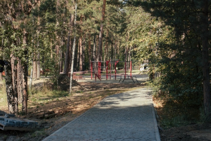 Благоустройство Заельцовского парка планируют завершить в 2022 году