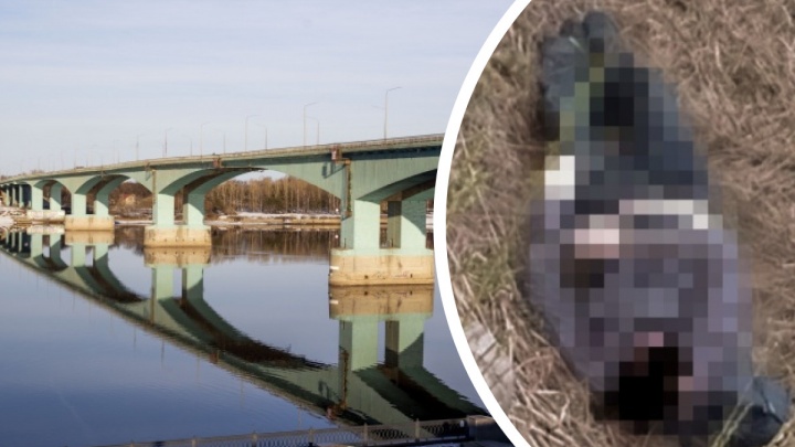 Местные вытащили из реки: в Ярославской области обнаружили тело упавшего с Октябрьского моста мужчины