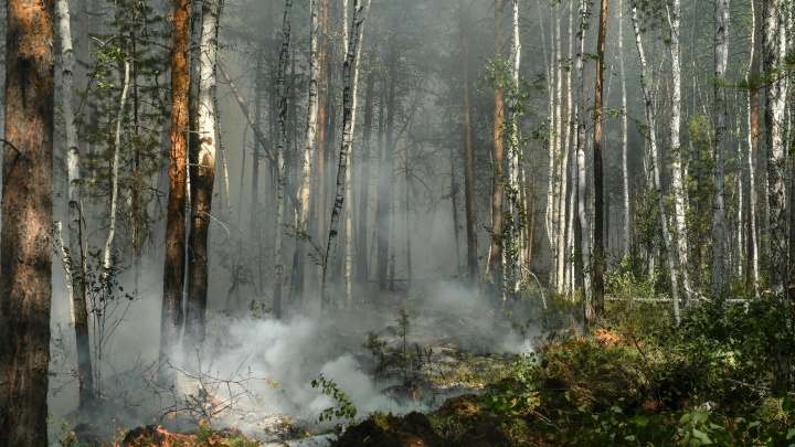 Режим ЧС из-за лесных пожаров в Иркутской области продлен до 29 мая