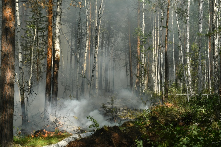 Режим ЧС из-за лесных пожаров в Иркутской области продлен до <nobr class="_">29 мая</nobr>