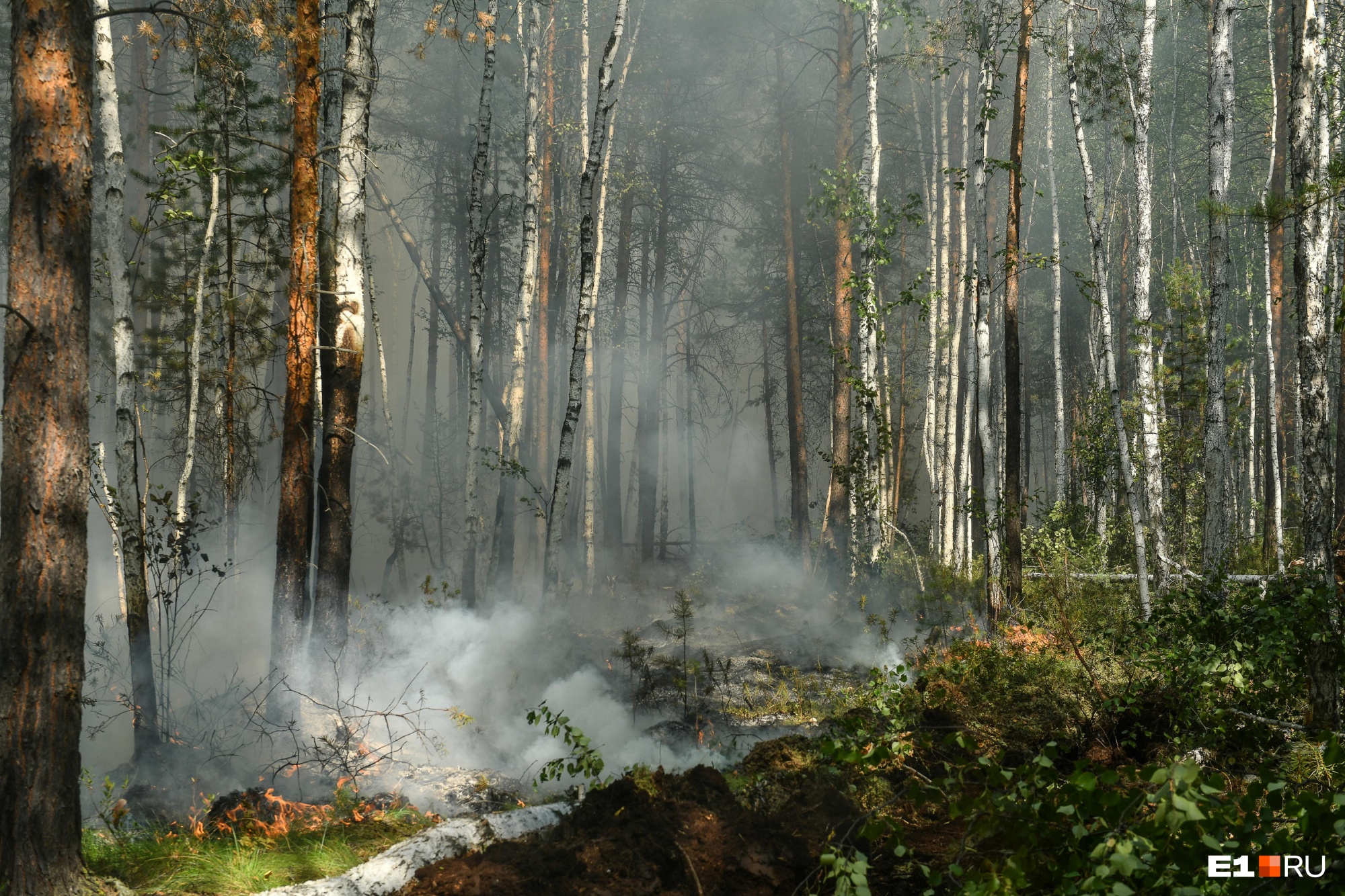 Минлеса опровергло задымление в Бурятии из-за пожаров в Иркутской области
