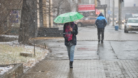 Это только первая волна тепла: климатолог объяснил, почему в Екатеринбурге пошел дождь в последний день осени