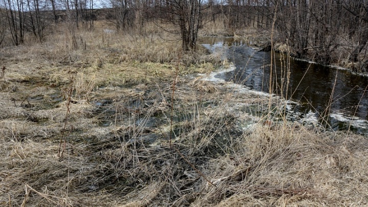 Администрацию Сургутского района оштрафовали на 10 млн рублей за слив нечистот в реку