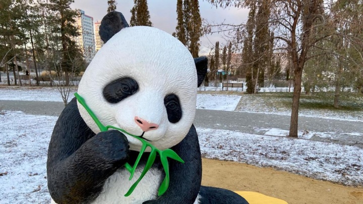 В волгоградском ЦПКиО установили двухметровую панду из Китая — только посмотрите на нее