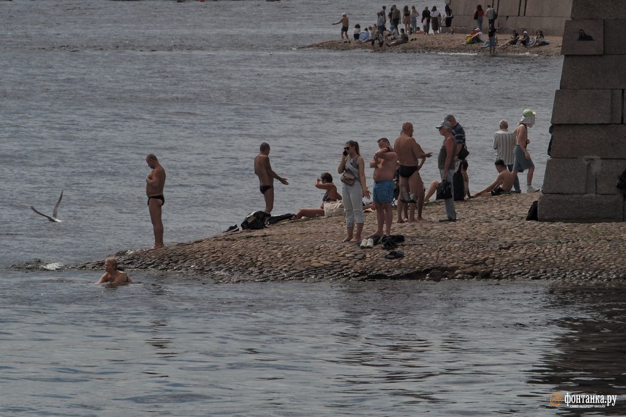 Нева потеплела, в Финском заливе вода вообще до плюс 25 градусов