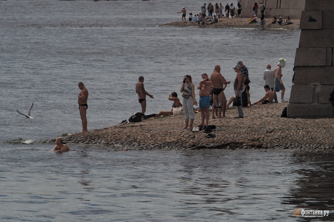 В петербурге купаются. Санкт-Петербург пляжи для купания. Финский залив Питер. Финский залив купаться. Финский залив вода.