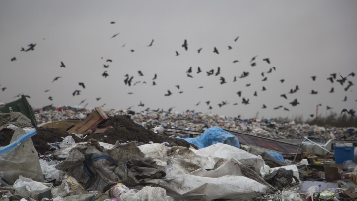 В Северодвинске снова горит мусорный полигон