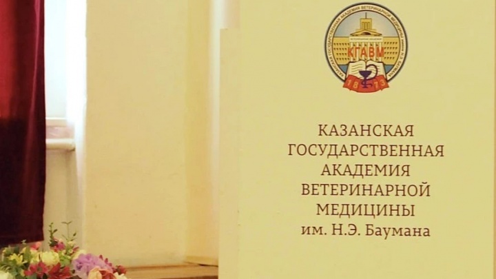 «Проверка еще проводится»: казанская ветакадемия — о скандале с домогательствами преподавателя