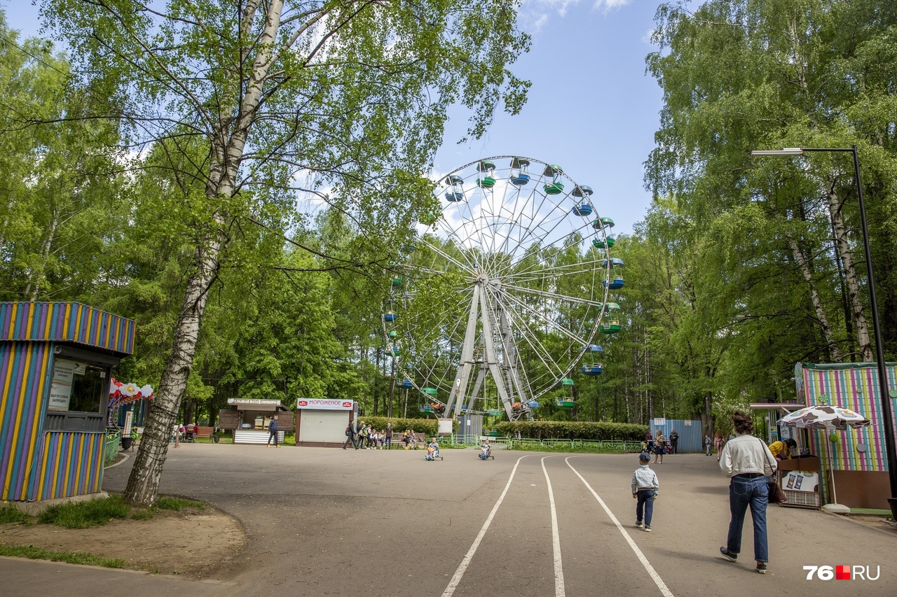 Для посетителей городских парков в Ярославле тоже приготовили сюрпризы
