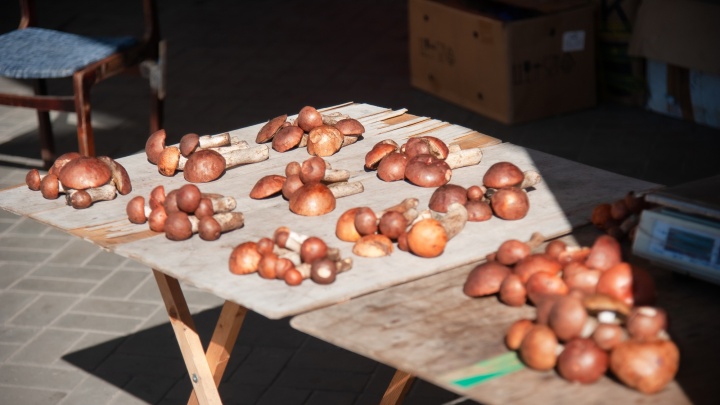 Летний урожай: сколько стоят грибы на рынках Архангельска