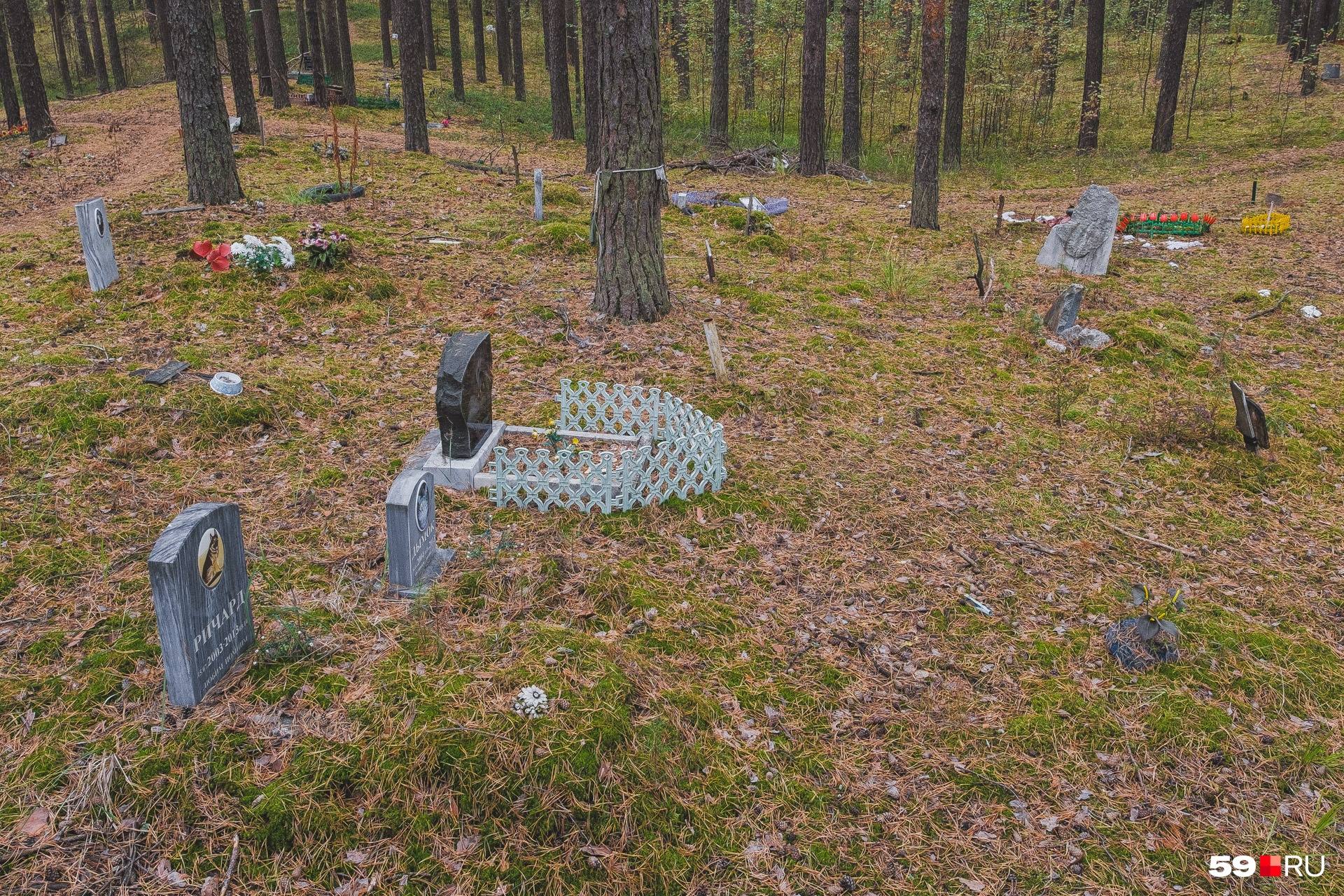 Поскольку кладбище — инициатива хозяев, здесь нет четкой разметки мест с захоронениями
