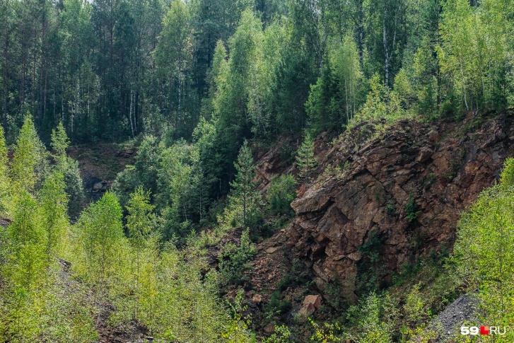 В жаркую погоду любая брошенная спичка или непотушенный костер могут быть чрезвычайно опасными для леса В жаркую погоду любая брошенная спичка или непотушенный костер могут быть чрезвычайно опасными для леса