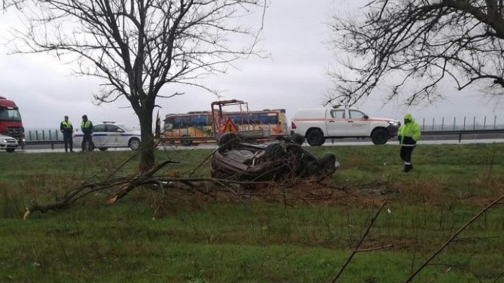 Двое погибших: на Кубани водитель потерял управление на мокрой трассе М-4 и врезался в дерево