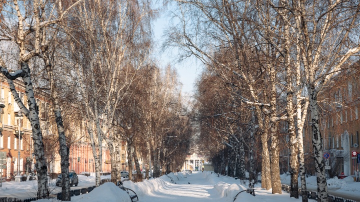 В Кузбассе температура воздуха опустится до -31: изучаем прогноз синоптиков на февраль