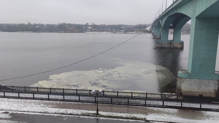 Волга в Ярославле покрылась масляно-зелеными разводами: что происходит с рекой