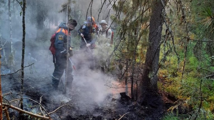 Жителей ХМАО предупредили о появлении смога от природных пожаров в населенных пунктах