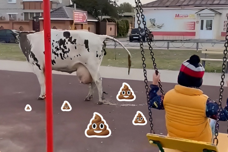 Корова на ходу снабдила детскую площадку натуральными удобрениями