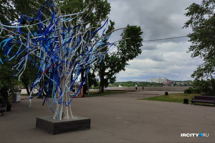 В центре Иркутска в июне появились два дерева с синими лентами. Рассказываем, для чего их поставили