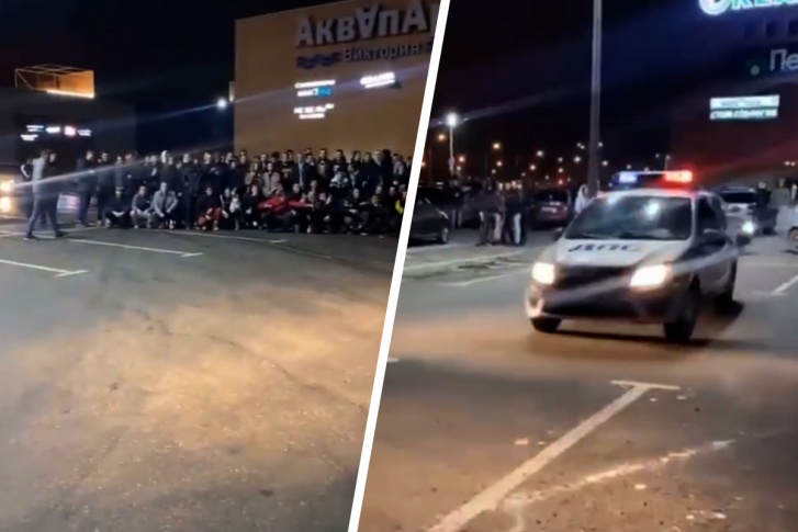 В акции приняли участие несколько десятков молодых людей В акции приняли участие несколько десятков молодых людей