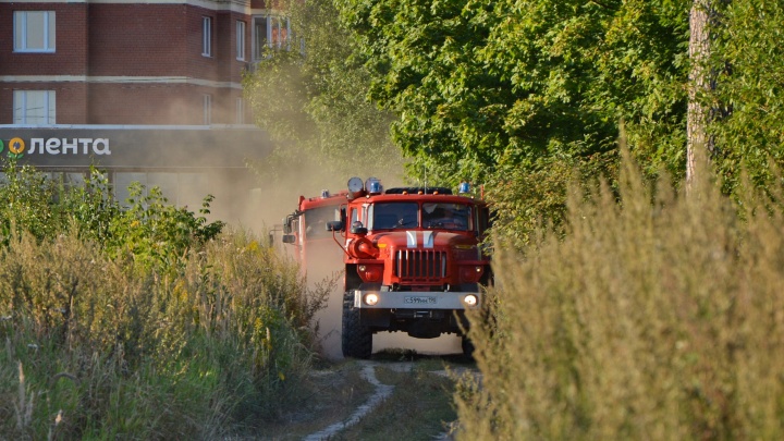 Пожарные спасли подмосковный лес. Возгорание в Балашихе ликвидировано