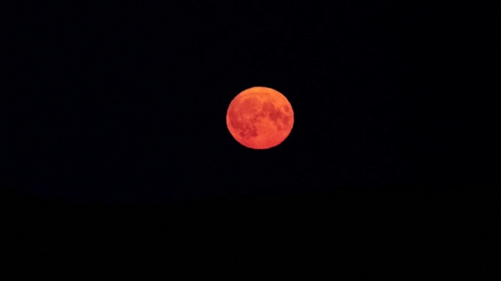 На небе в Тюмени появилась зловеще красная Луна. Фотоподборка