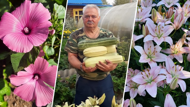Вырастить 50 видов цветов в Сургуте — легко!