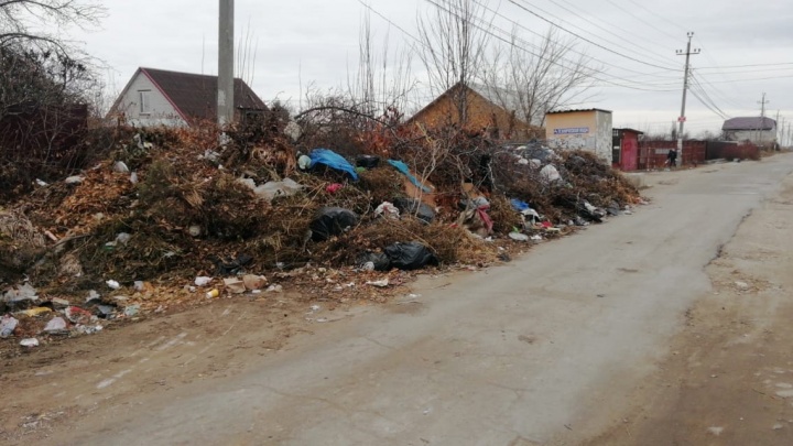 «Назовем это экологической катастрофой»: север Волгограда тонет в невывезенном мусоре